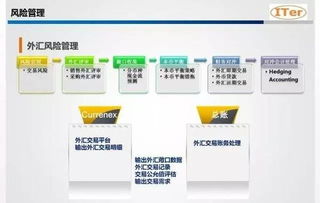 集團(tuán)資金管理價(jià)值趨勢(shì)分析及系統(tǒng)選型考量